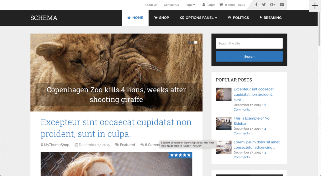 TOP 7 FASTEST WORDPRESS THEMES FOR SEO AND PAGE SPEED